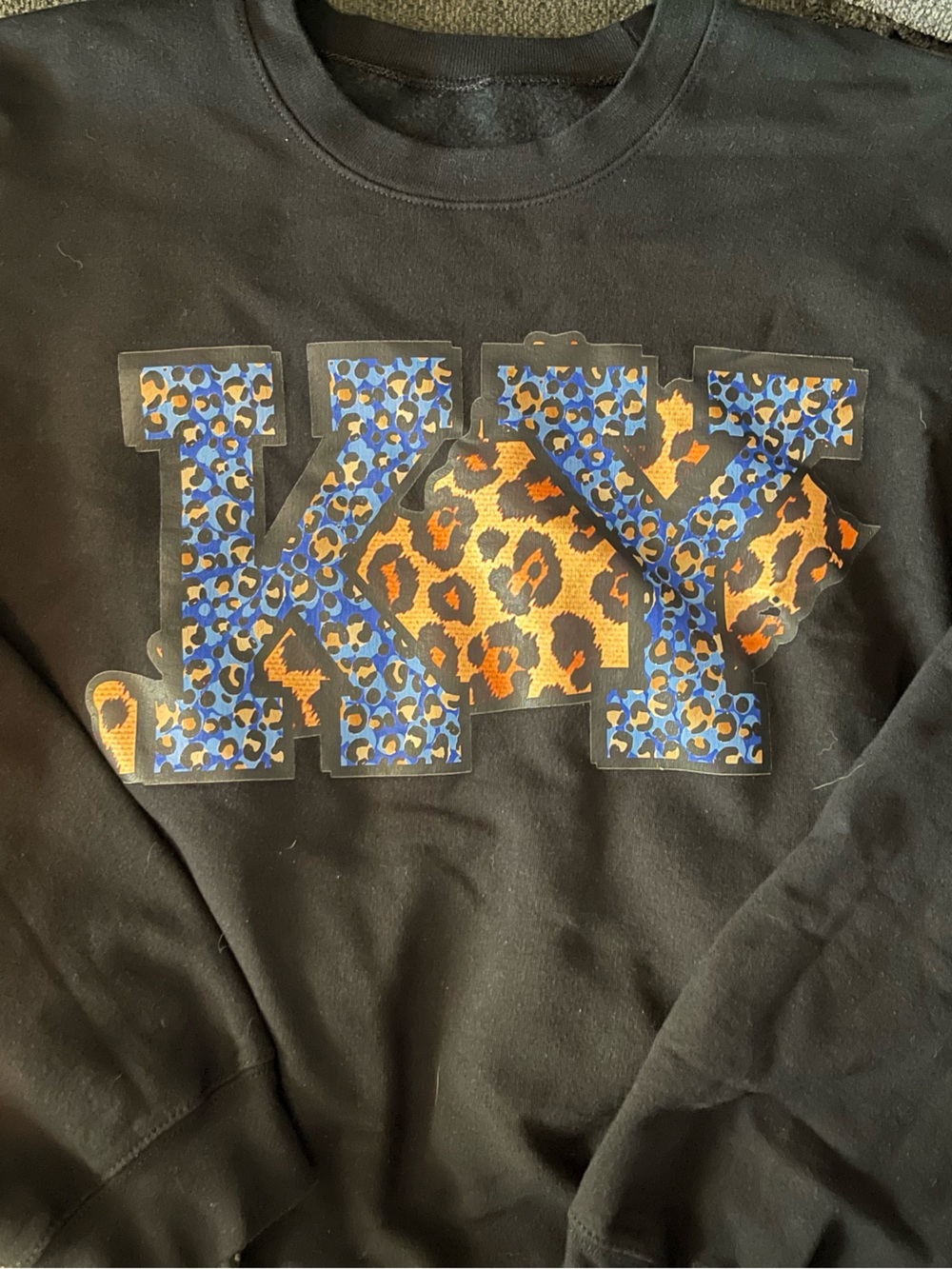 Women’s Black Sweatshirt with Blue & Orange Leopard Graphic